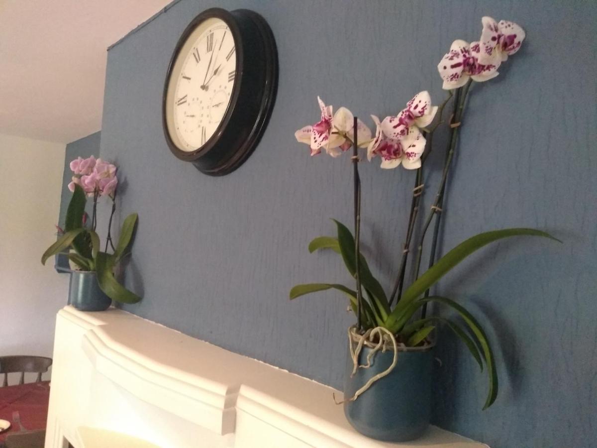The Crossings Bed and Breakfast Καρλάιλ Εξωτερικό φωτογραφία